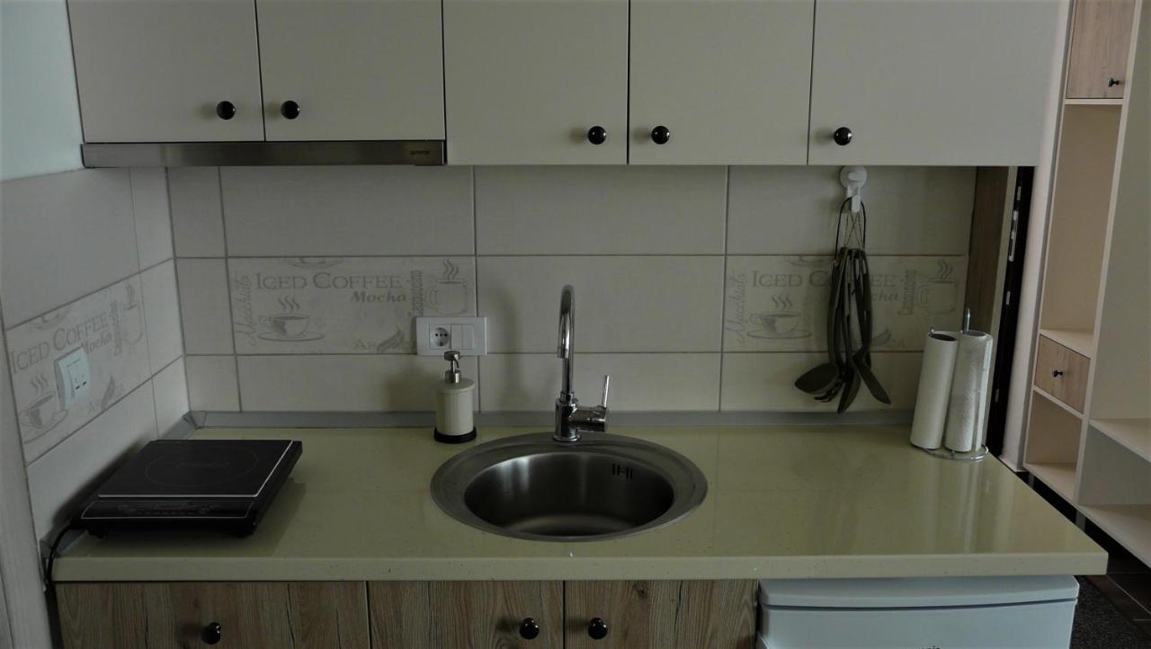 Apartman D52 Dvori コパオニク エクステリア 写真