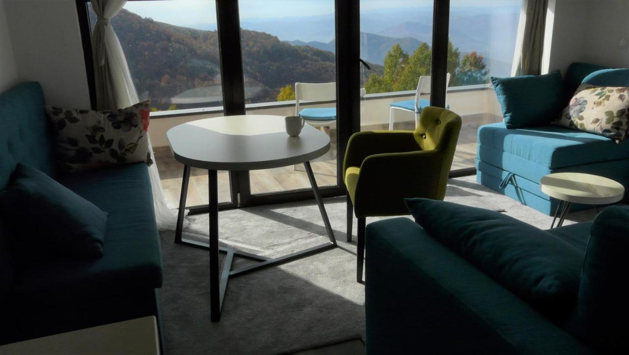 Apartman D52 Dvori コパオニク エクステリア 写真